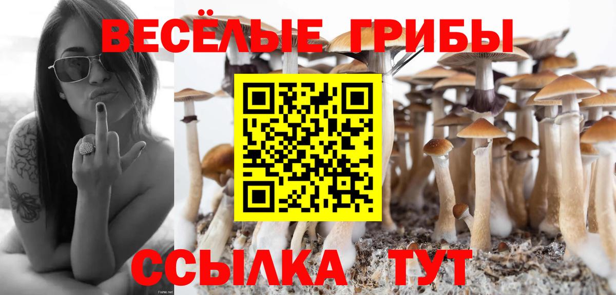 Ульяновск  Галлюциногенные грибы GOLDEN TEACHER  Галлюциногенные грибы Cubensis  Вход с VPN 